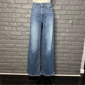 AMERICAN EAGLE Dreamy Drape Stretch Low-rise Baggy Wide-leg Jean Size 0